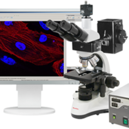 Vision Lumi Цифровая система анализа для флуоресцентной микроскопии