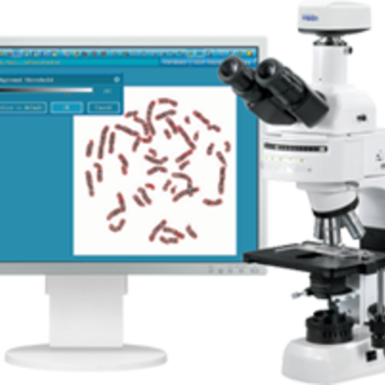 Vision KaryoFISH Цифровая система хромосомного анализ
